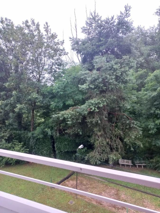 Lake Maggiore 2 Minutes Apartment Dormelletto Luaran gambar