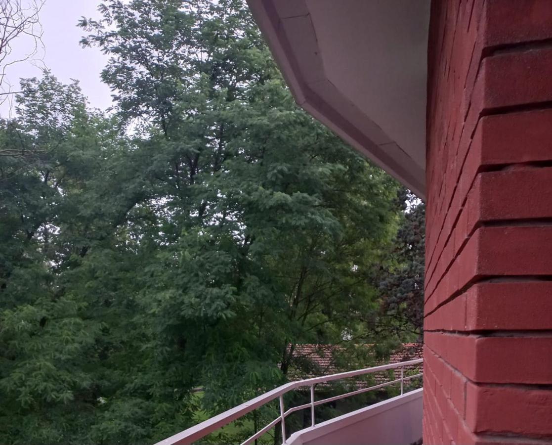 Lake Maggiore 2 Minutes Apartment Dormelletto Luaran gambar